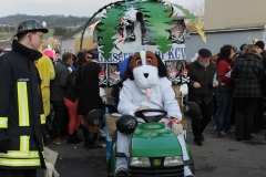 Fastnachtsumzug 2013